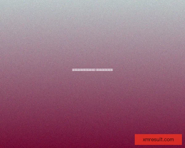 熊猫体育篮球：打造全新赛事体验 引领年轻人热血竞技风潮