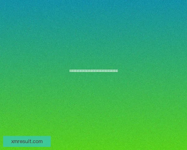 熊猫体育篮球：打造全新赛事体验 引领年轻人热血竞技风潮