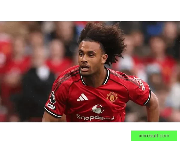 拉杰欲曼联清洗八将筹资一亿齐尔克泽或将成为新核心